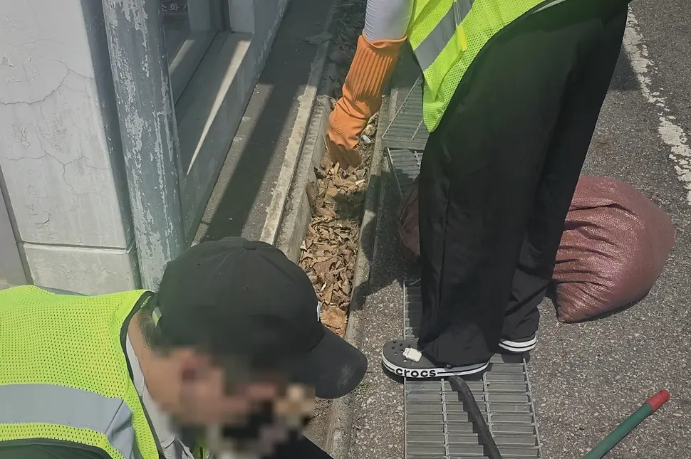 강서구 침수복구청소 업체 작업 전후 2